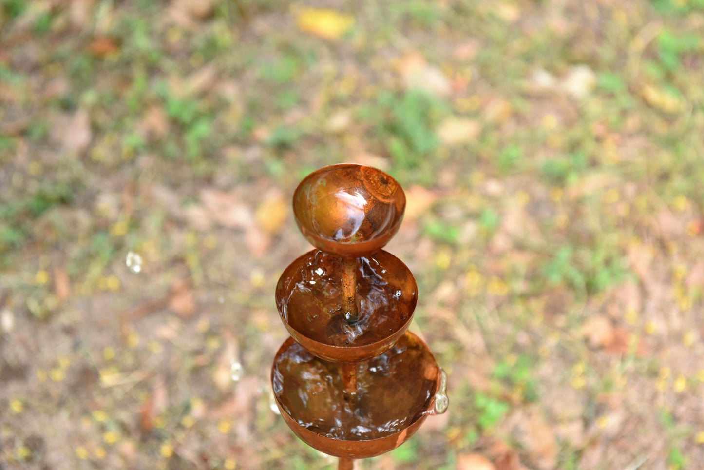 🌧️ Bring Your Garden to Life — Even When It Rains