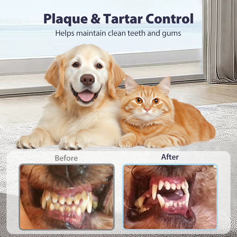 Pets Dental Spray – Stop Bad Breath & Tartar at the Source
