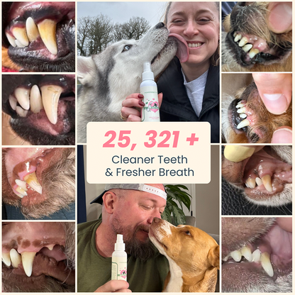 Pets Dental Spray – Stop Bad Breath & Tartar at the Source