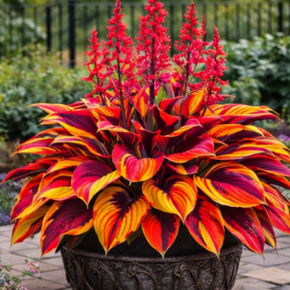🌈 Hosta Bulbs 🌿 Multi-Color, Easy to Grow, Brighten Any Space 🪴