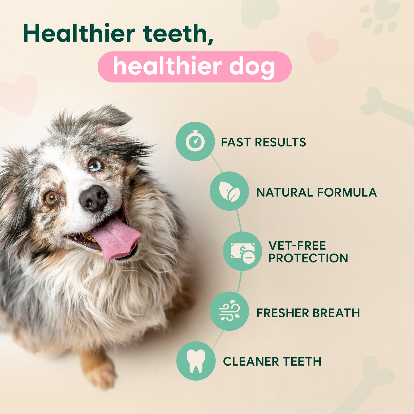 Pets Dental Spray – Stop Bad Breath & Tartar at the Source