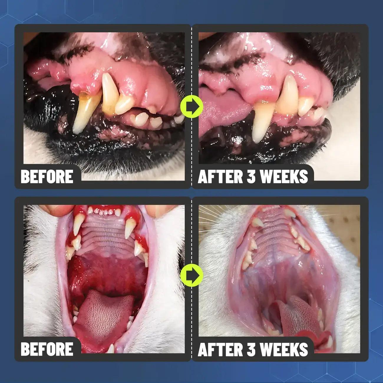 Pets Dental Spray – Stop Bad Breath & Tartar at the Source