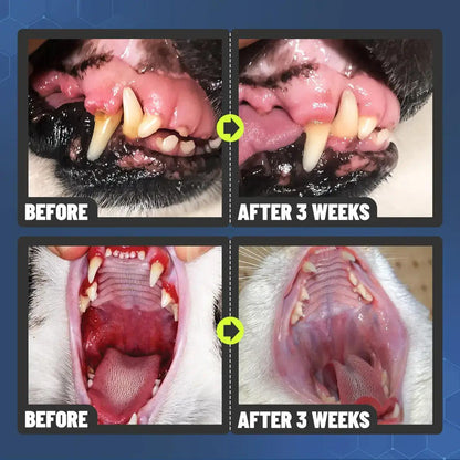 Pets Dental Spray – Stop Bad Breath & Tartar at the Source