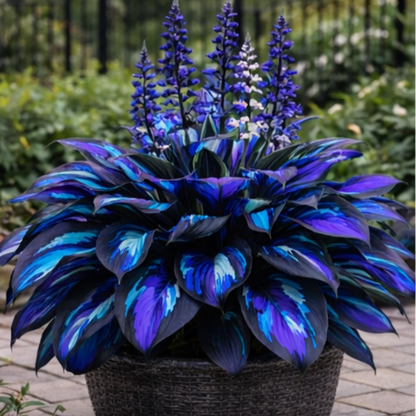 🌈 Hosta Bulbs 🌿 Multi-Color, Easy to Grow, Brighten Any Space 🪴
