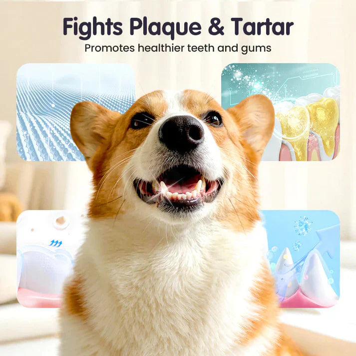 Pets Dental Spray – Stop Bad Breath & Tartar at the Source