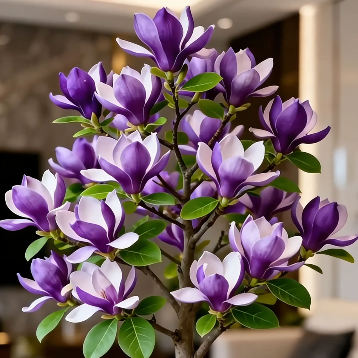 🌸 Magnolia Liliiflora Bulbs 🌿 Lush Blooms That Hide the Leaves & Fill the Air with Fragrance