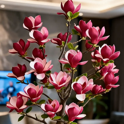 🌸 Magnolia Liliiflora Bulbs 🌿 Lush Blooms That Hide the Leaves & Fill the Air with Fragrance